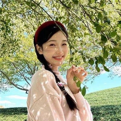 黑之契约者2:流星的双子
